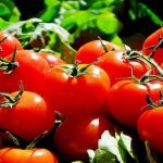 Tomatoes - A Superfood You Can Grow At Home