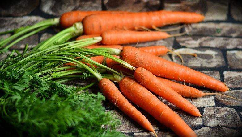 Homegrown Carrots