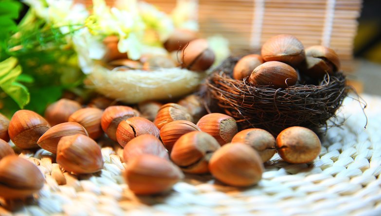 Kent As Hazelnut County