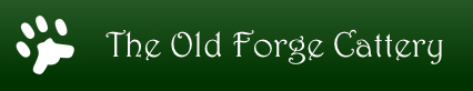 The Old Forge Cattery In Laddingford Near Maidstone And Tonbridge
