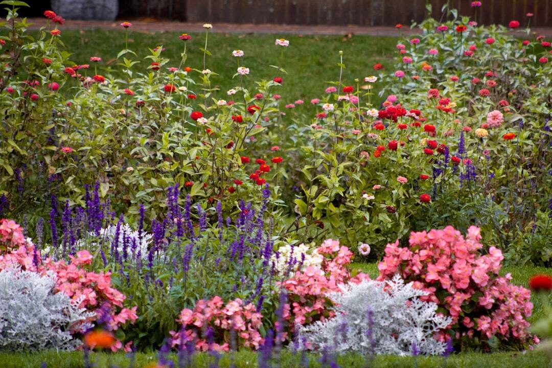A garden filled with lots of colourful flowers