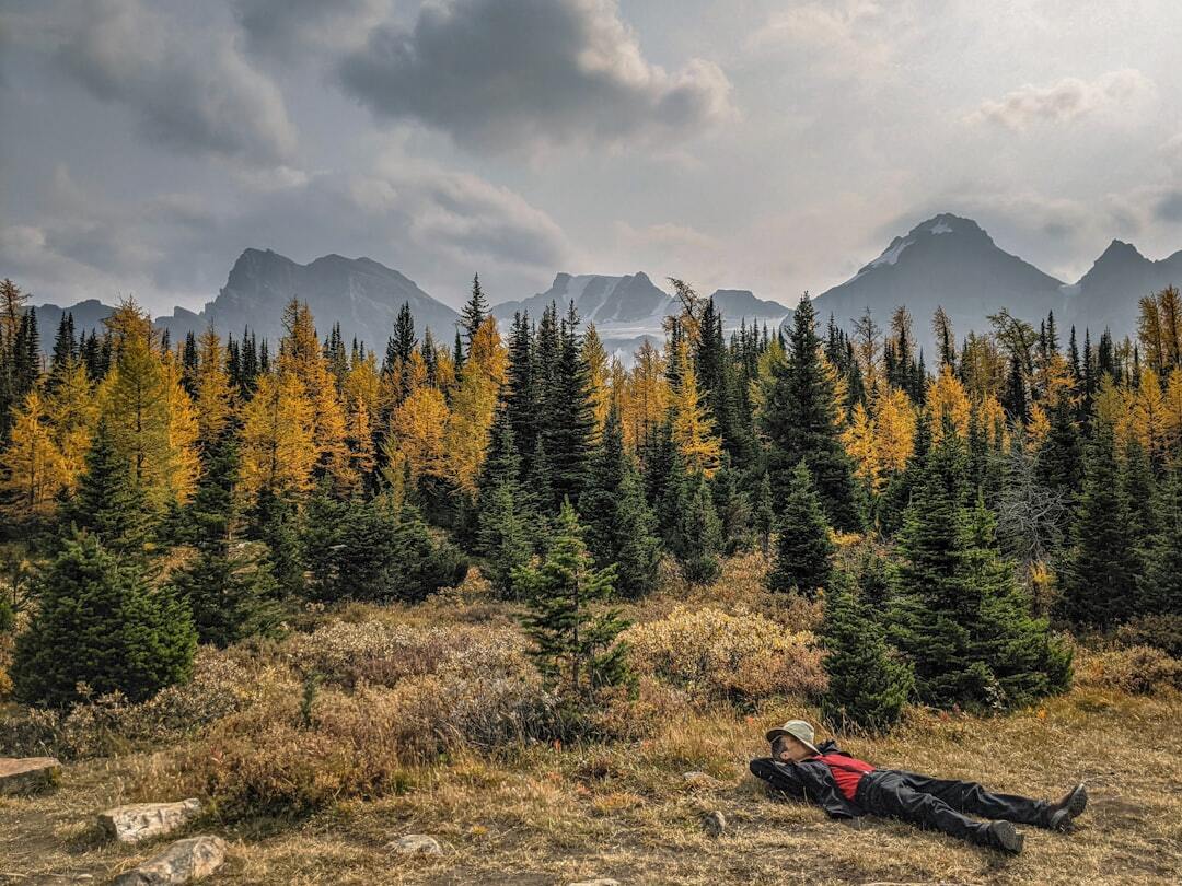 A person lying on the ground with trees and mountains in the background