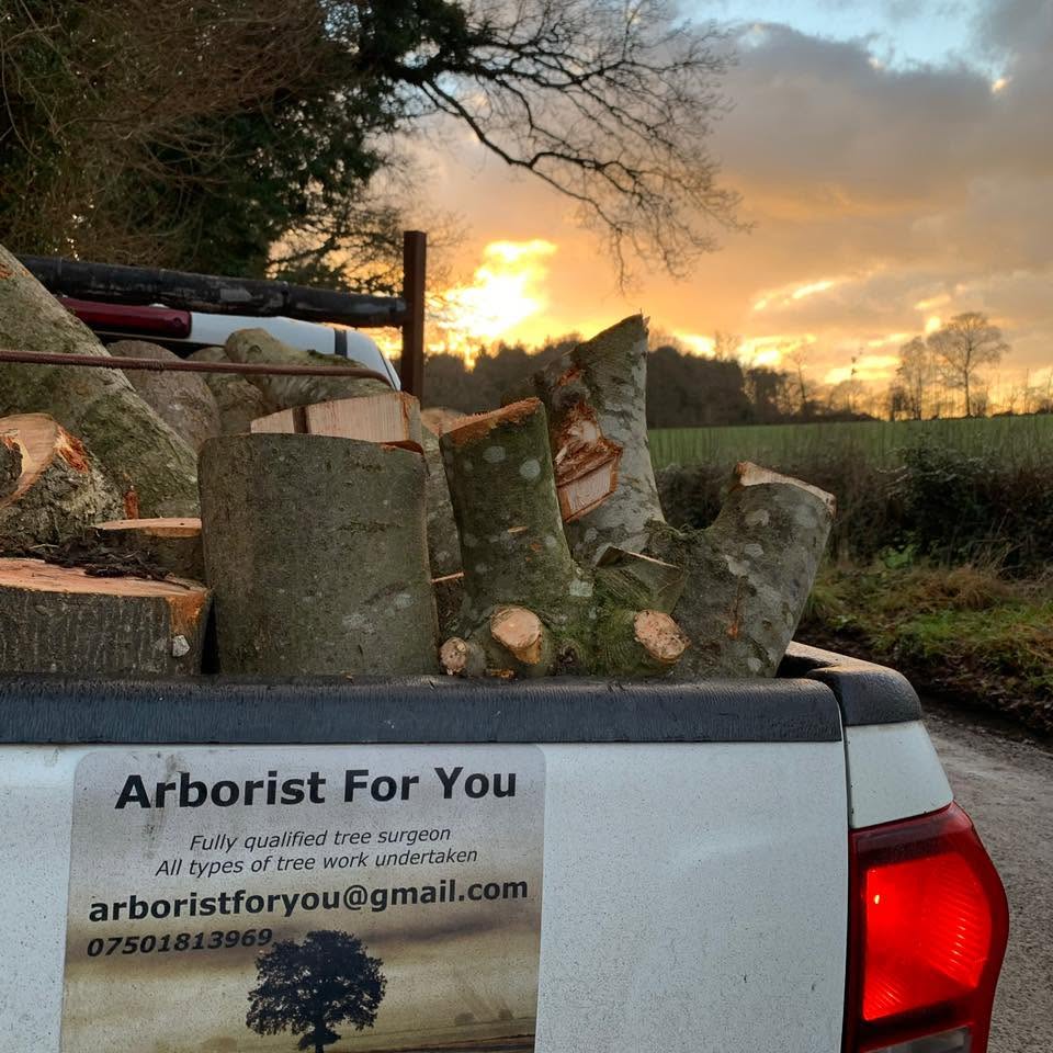 Arborist For You