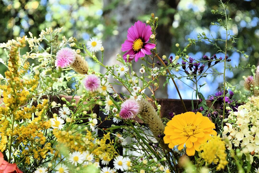 Best Plants To Brighten Your Garden In August