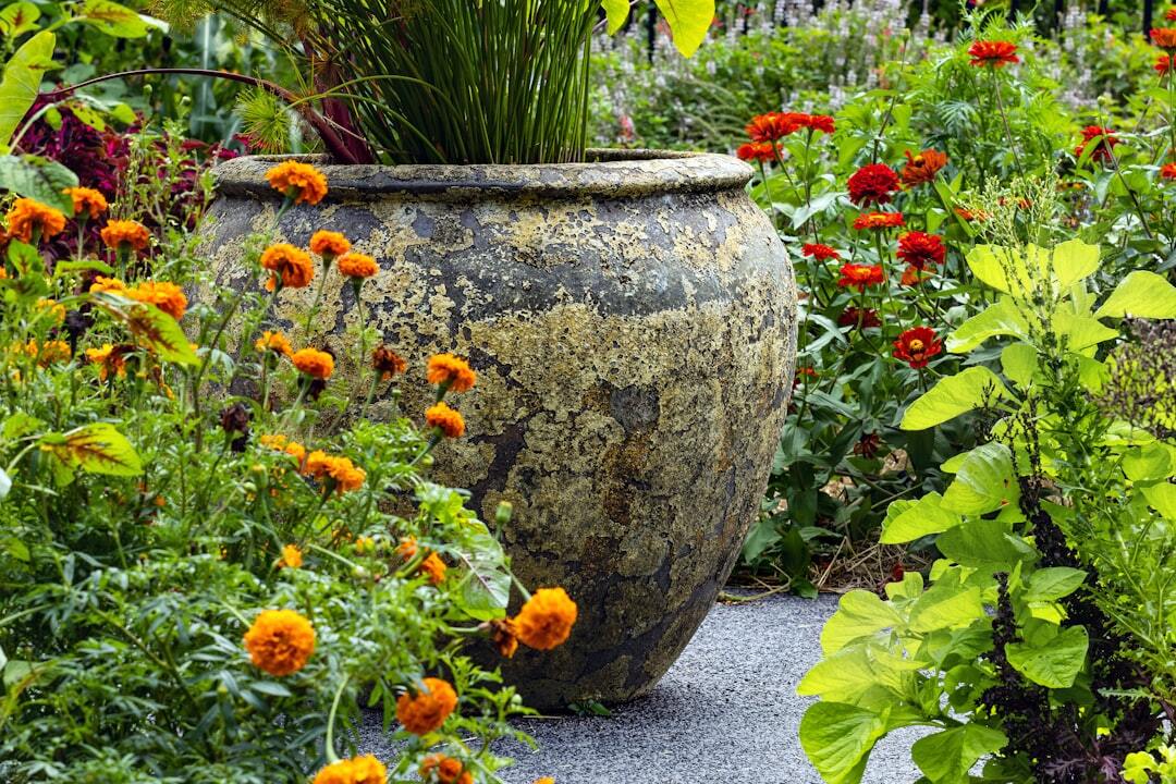 Creative Ways To Attract Pollinators To Your Garden Space