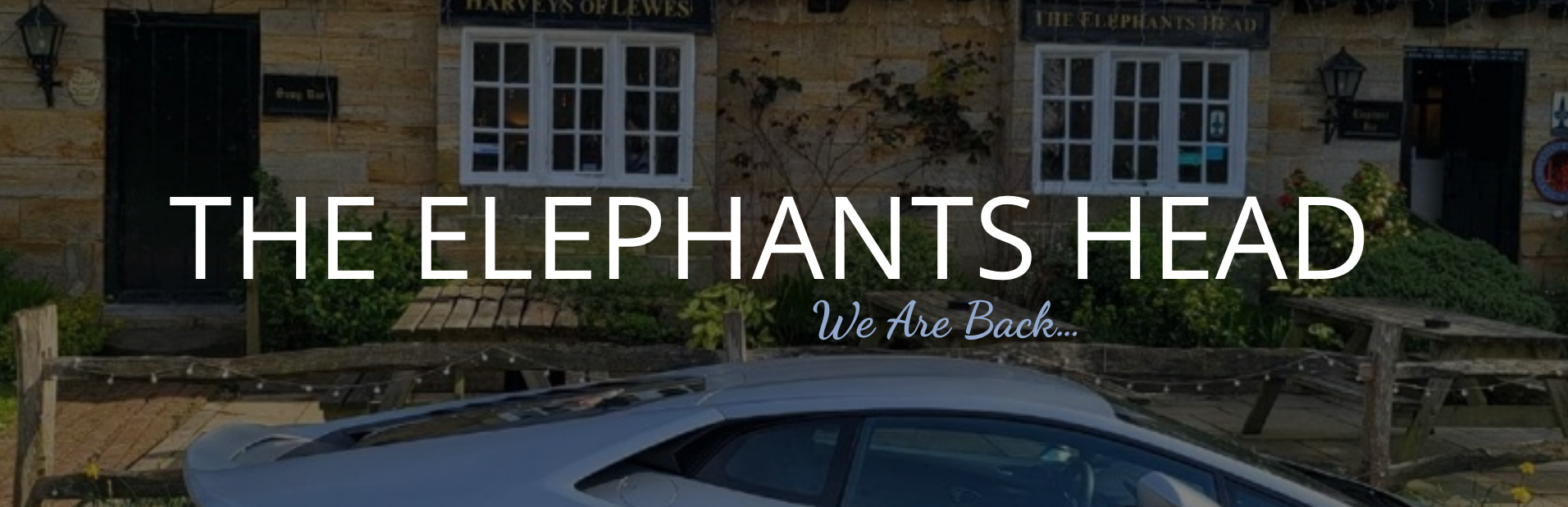 Elephants-head