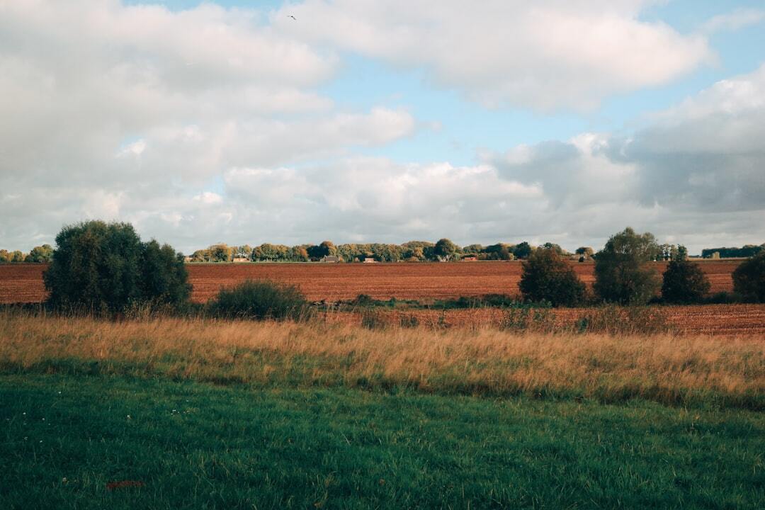 Green grass field under cloudy sky during daytime