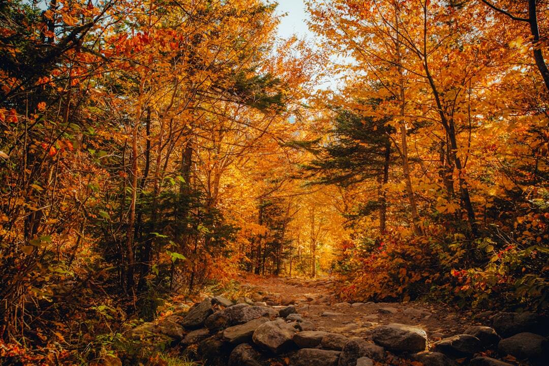 Hidden Gems For Outdoor Adventures Before Autumn Arrives