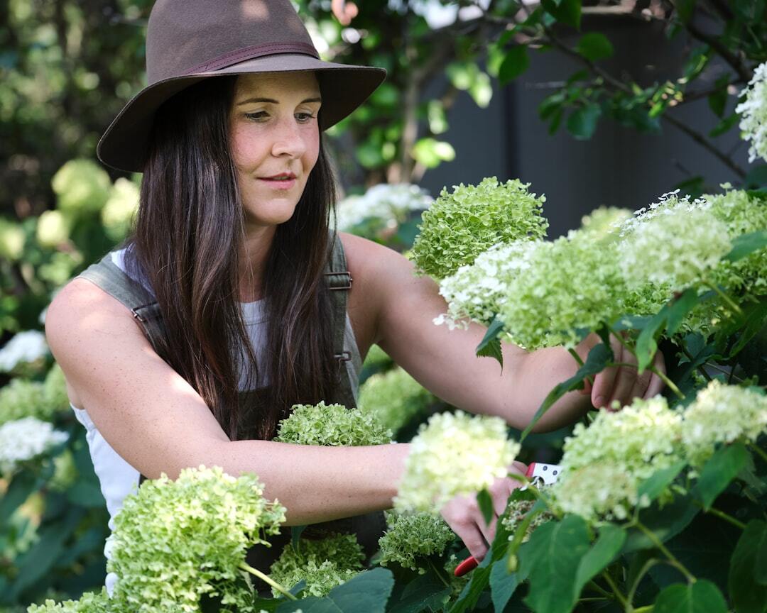 Late Summer Gardening Tasks To Prepare For Autumn