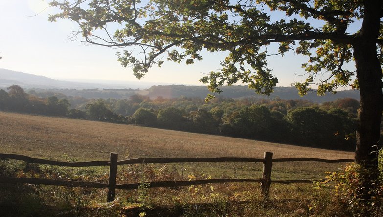 Beautiful Kent Nature Walk
