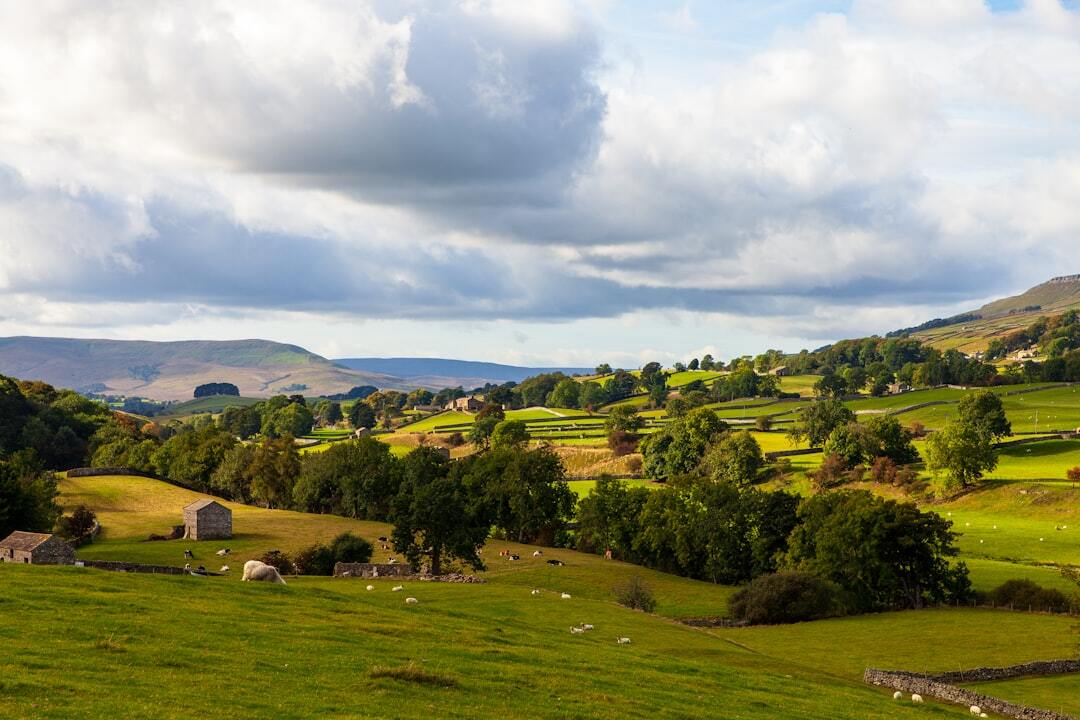 Top Day Trip Destinations For Late Summer In The Countryside