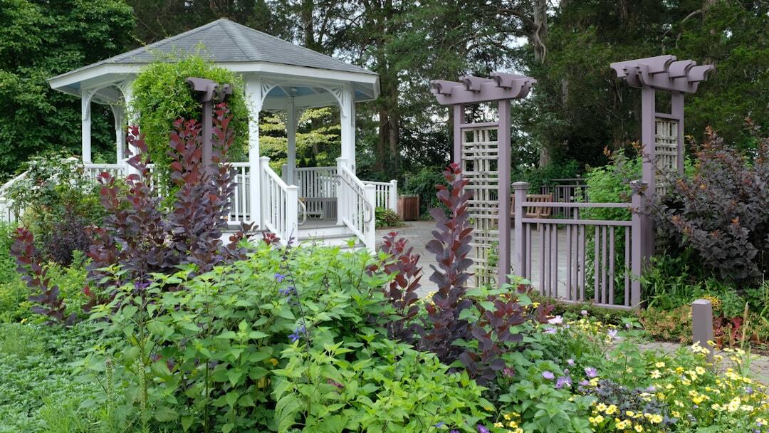 White gazebo and wooden gate in a vibrant garden