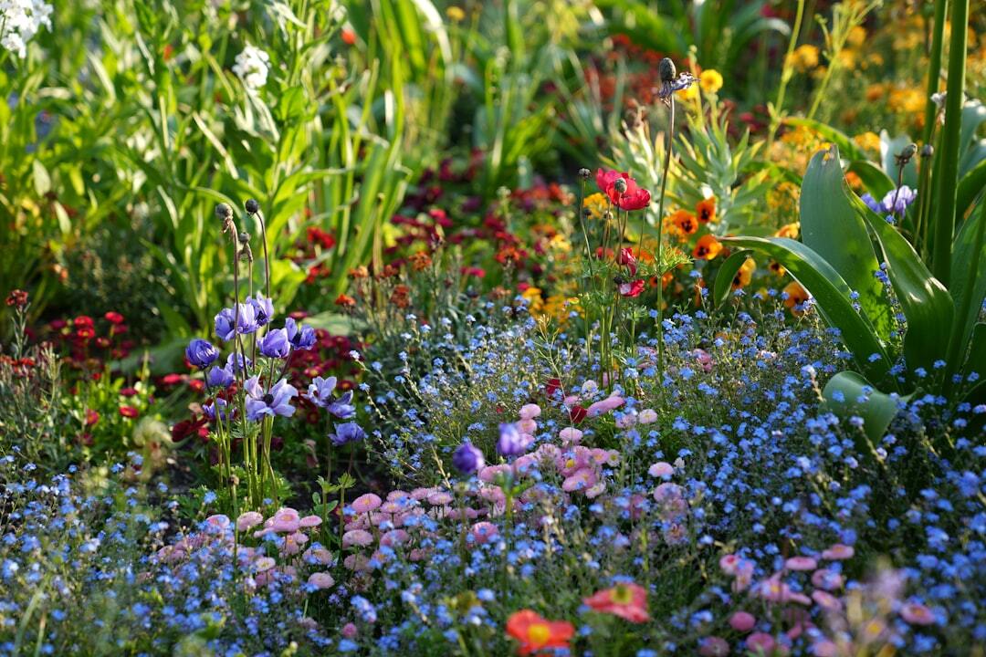 Best Hardy Perennials To Plant Now Colour