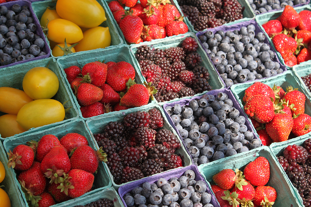 Best Farm Shops in Kent: Where to Find Fresh Local Produce