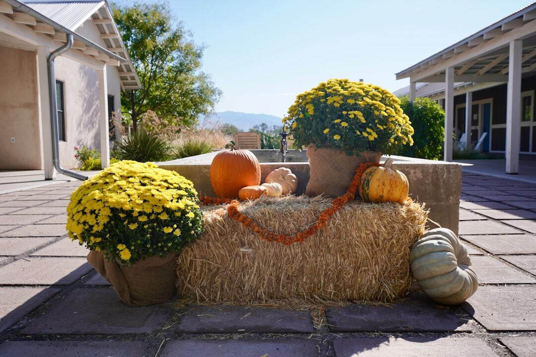 Creative Ways To Decorate Your Home With Natural Harvest Materials