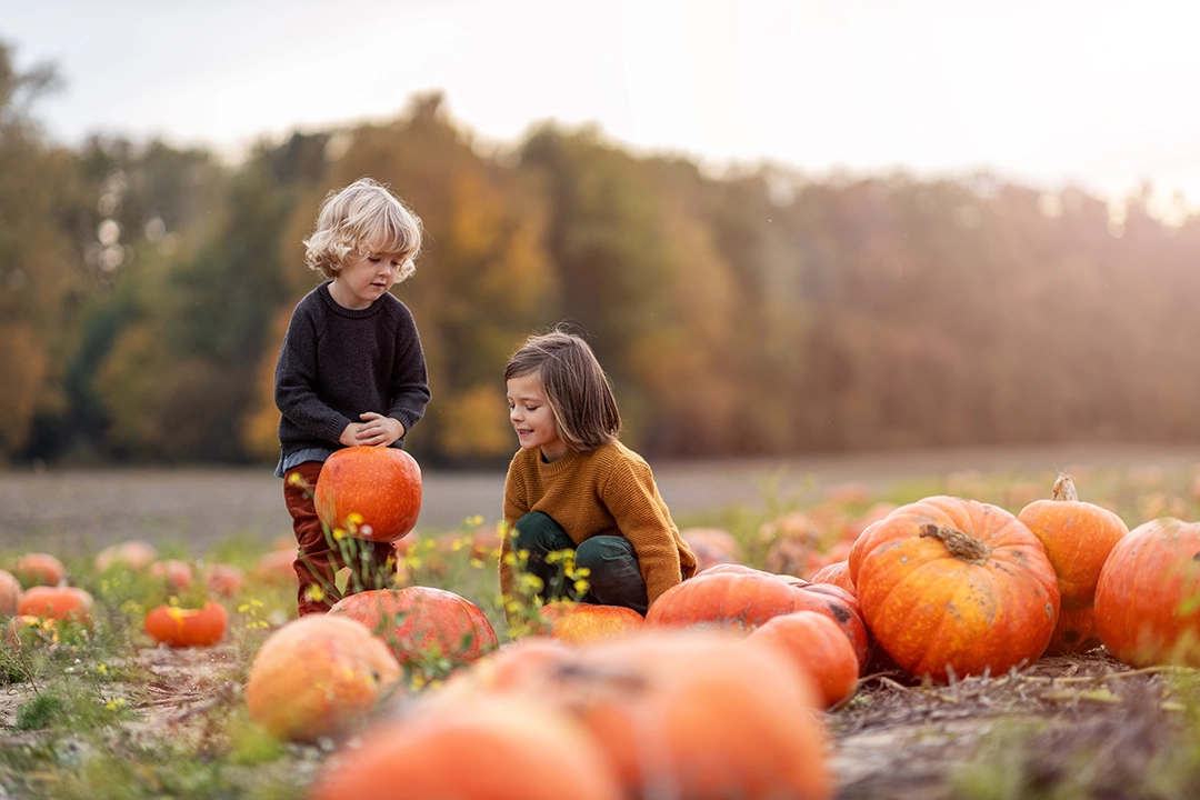 Children choosing pumpkins during an autumn pumpkin-picking day out