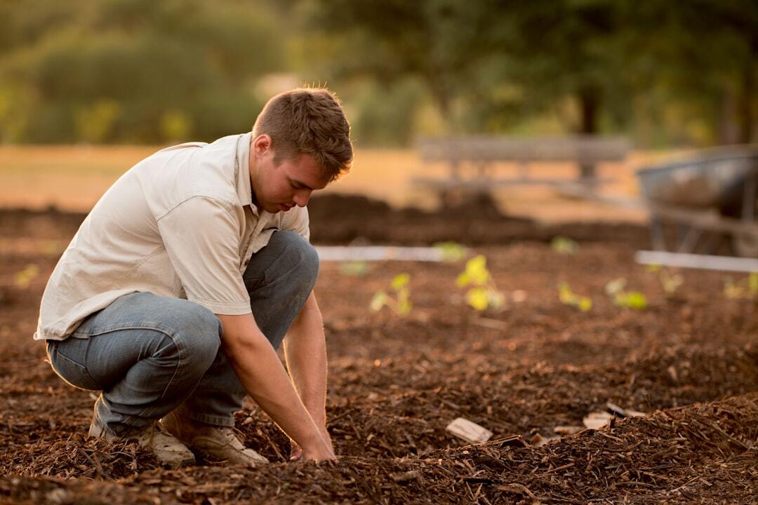 Man in white shirt planting at daytime