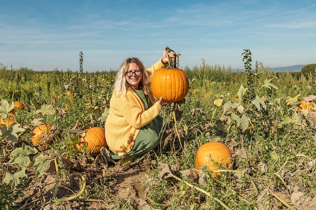 Pumpkin Picking in Kent 2026