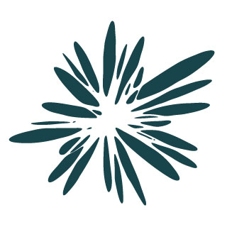 Fb Flower Burst 01