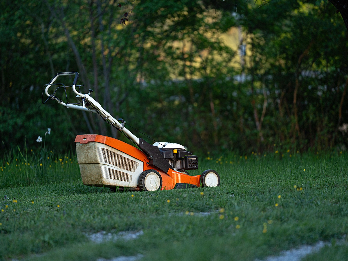 How to Get Your Lawn Ready for Winter