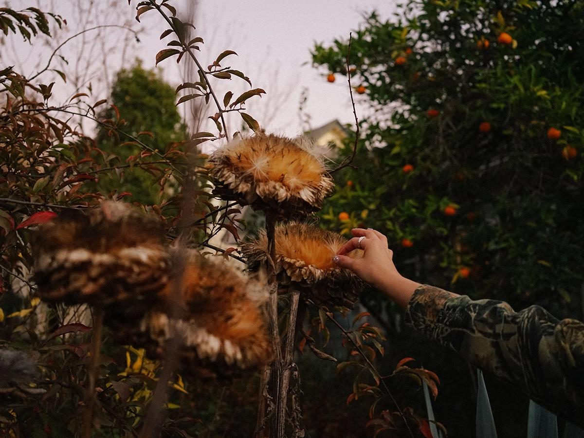 How to Prepare Your Garden for Winter: The Jobs to Do Now