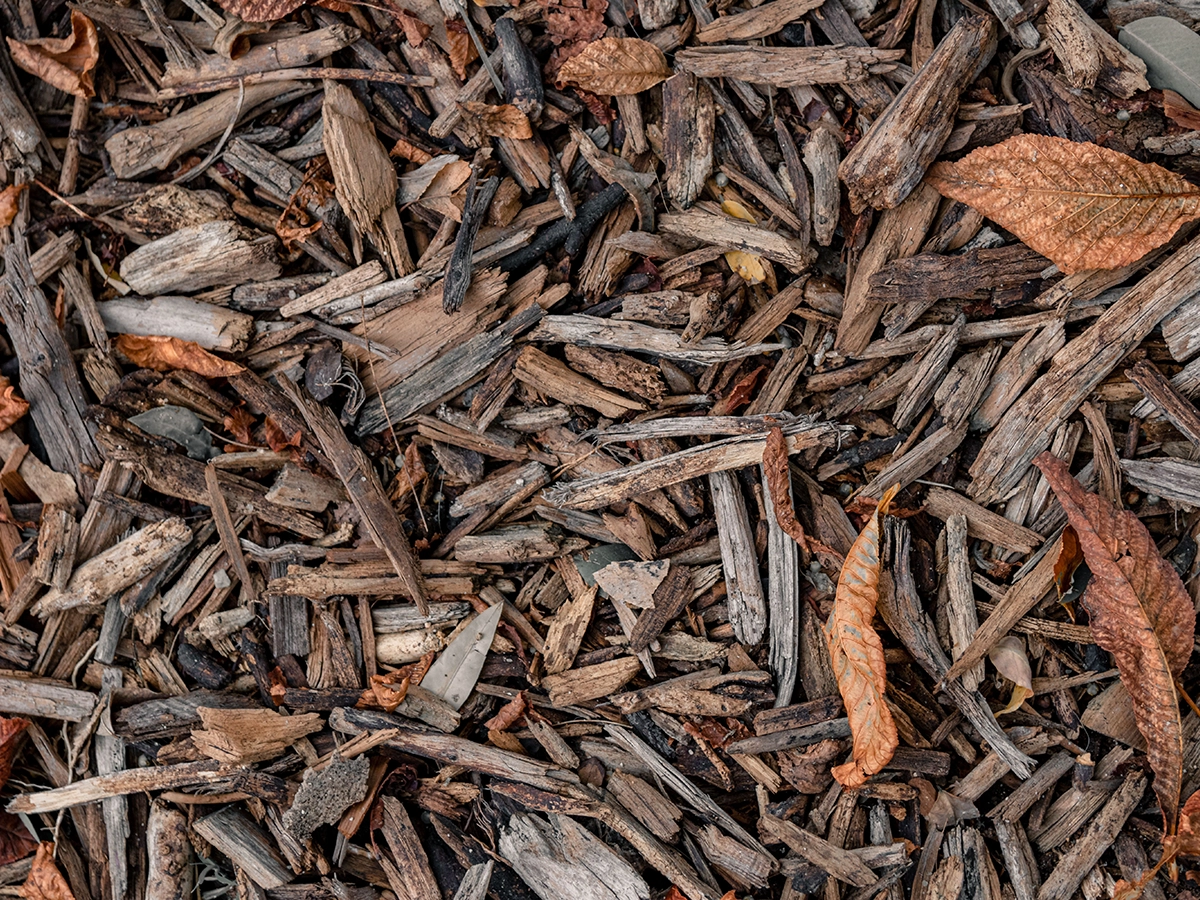 Mulching Garden Borders Before Winter