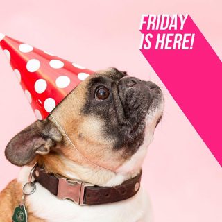 Does anything capture that #FridayFeeling better than a pug in a party hat!? .
.
.
.
.
#kent #lifestyle #magazine #local #advertising #business #businessadvertising #magazineadvertising #kentlifestylemagazine #localbusiness #printadvertising #digitaladvertising #repost #pug #puglife